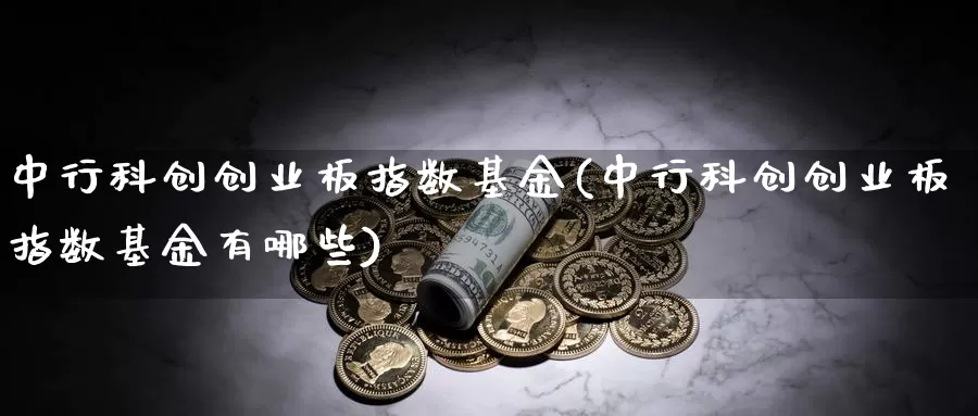 中行科创创业板指数基金(中行科创创业板指数基金有哪些)_https://www.qddrjgnsk.com_股市频道_第1张