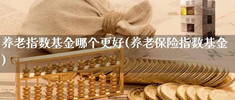 养老指数基金哪个更好(养老保险指数基金)_https://www.qddrjgnsk.com_债券市场_第1张