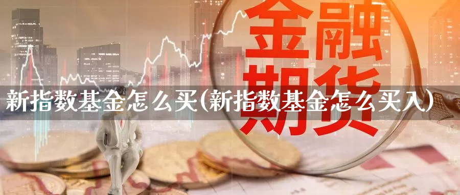 新指数基金怎么买(新指数基金怎么买入)_https://www.qddrjgnsk.com_股市频道_第1张