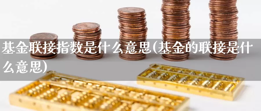 基金联接指数是什么意思(基金的联接是什么意思)_https://www.qddrjgnsk.com_股市频道_第1张