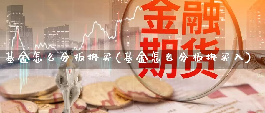 基金怎么分板块买(基金怎么分板块买入)_https://www.qddrjgnsk.com_股市频道_第1张