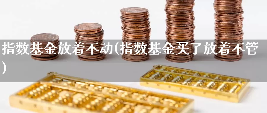 指数基金放着不动(指数基金买了放着不管)_https://www.qddrjgnsk.com_股市频道_第1张