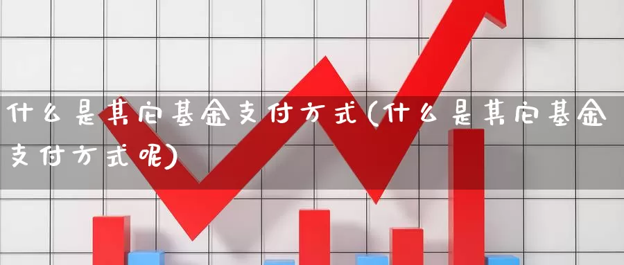 什么是其它基金支付方式(什么是其它基金支付方式呢)_https://www.qddrjgnsk.com_股市频道_第1张