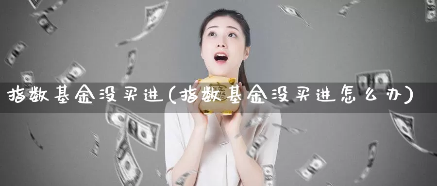 指数基金没买进(指数基金没买进怎么办)_https://www.qddrjgnsk.com_股市频道_第1张