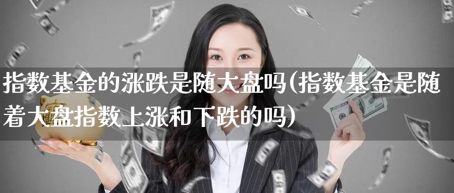 指数基金的涨跌是随大盘吗(指数基金是随着大盘指数上涨和下跌的吗)_https://www.qddrjgnsk.com_股市频道_第1张