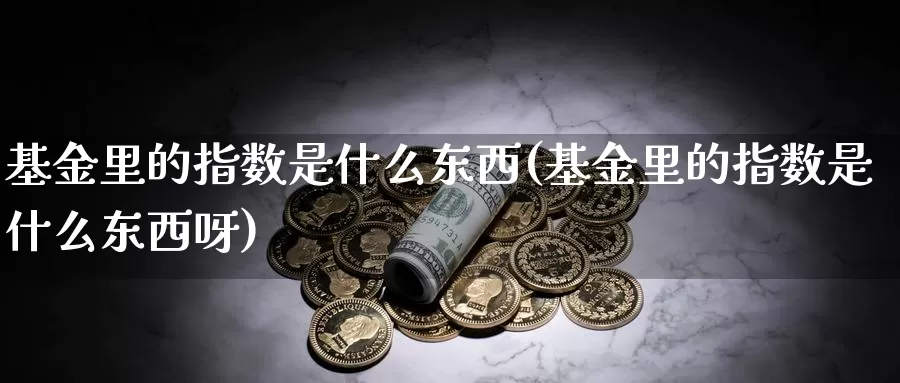 基金里的指数是什么东西(基金里的指数是什么东西呀)_https://www.qddrjgnsk.com_股市频道_第1张