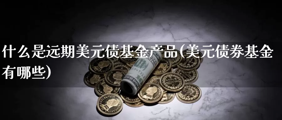 什么是远期美元债基金产品(美元债券基金有哪些)_https://www.qddrjgnsk.com_股市频道_第1张