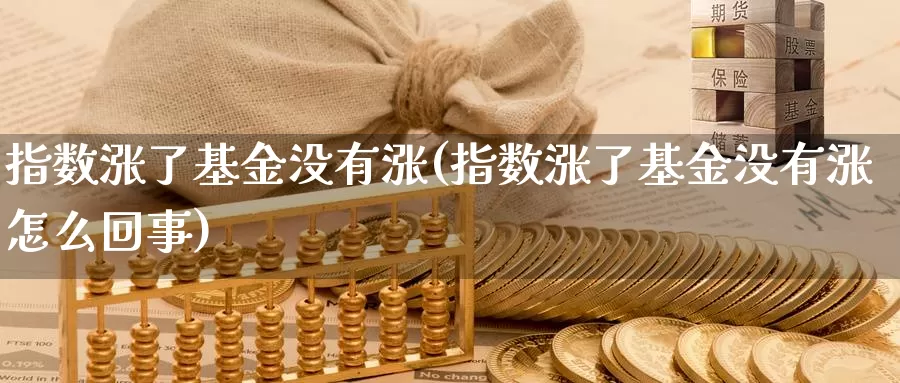 指数涨了基金没有涨(指数涨了基金没有涨怎么回事)_https://www.qddrjgnsk.com_股市频道_第1张