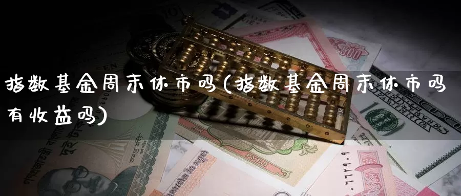 指数基金周末休市吗(指数基金周末休市吗有收益吗)_https://www.qddrjgnsk.com_股市频道_第1张