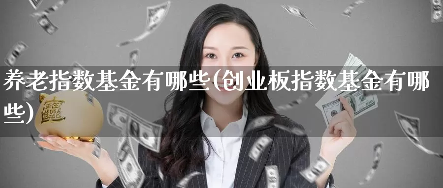 养老指数基金有哪些(创业板指数基金有哪些)_https://www.qddrjgnsk.com_债券市场_第1张