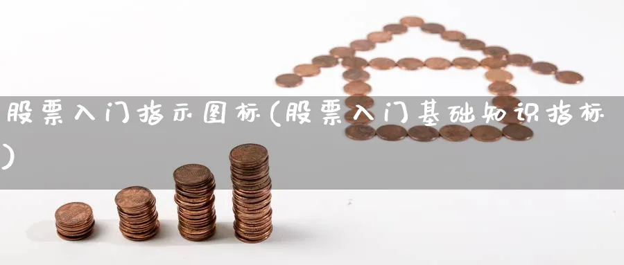 股票入门指示图标(股票入门基础知识指标)_https://www.qddrjgnsk.com_股市频道_第1张