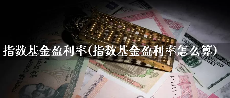 指数基金盈利率(指数基金盈利率怎么算)_https://www.qddrjgnsk.com_股市频道_第1张