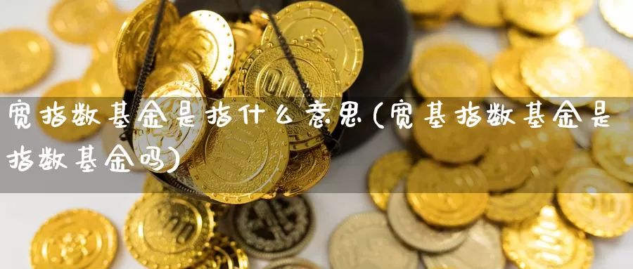 宽指数基金是指什么意思(宽基指数基金是指数基金吗)_https://www.qddrjgnsk.com_股市频道_第1张