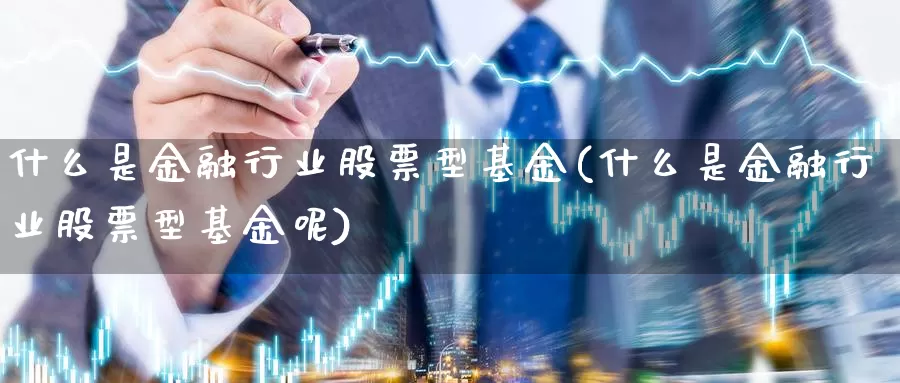 什么是金融行业股票型基金(什么是金融行业股票型基金呢)_https://www.qddrjgnsk.com_股市频道_第1张