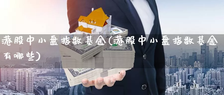 港股中小盘指数基金(港股中小盘指数基金有哪些)_https://www.qddrjgnsk.com_股市频道_第1张