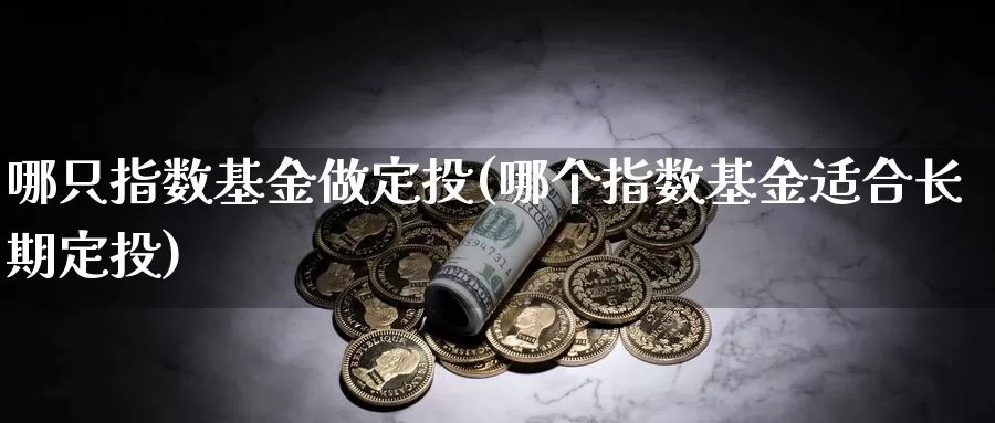 哪只指数基金做定投(哪个指数基金适合长期定投)_https://www.qddrjgnsk.com_股市频道_第1张