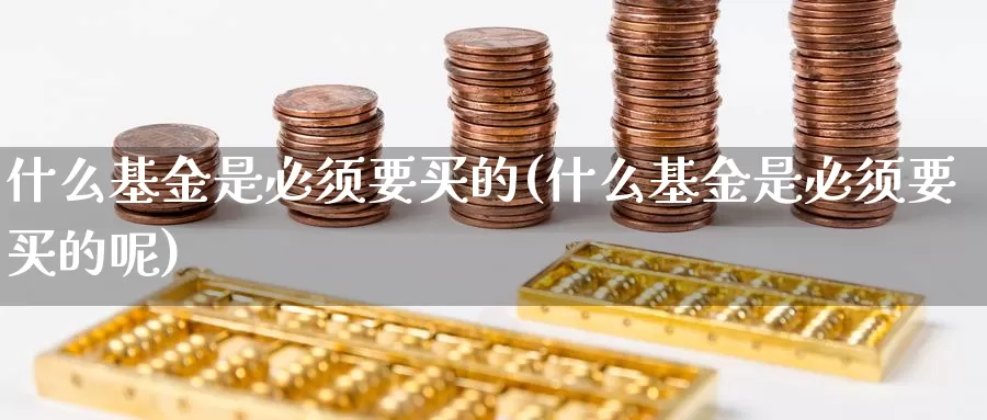 什么基金是必须要买的(什么基金是必须要买的呢)_https://www.qddrjgnsk.com_股市频道_第1张