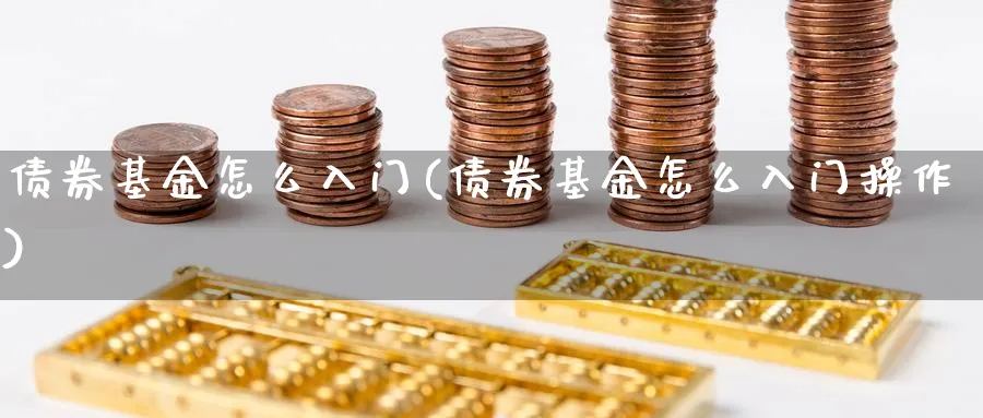 债券基金怎么入门(债券基金怎么入门操作)_https://www.qddrjgnsk.com_股市频道_第1张