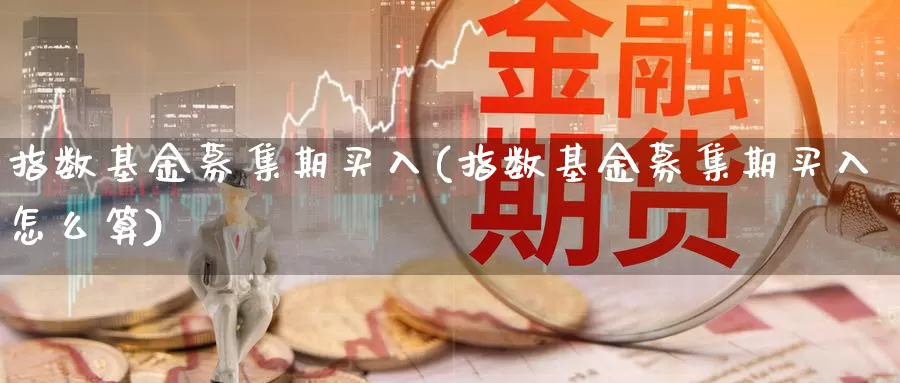 指数基金募集期买入(指数基金募集期买入怎么算)_https://www.qddrjgnsk.com_股市频道_第1张