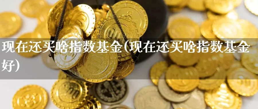 现在还买啥指数基金(现在还买啥指数基金好)_https://www.qddrjgnsk.com_股市频道_第1张