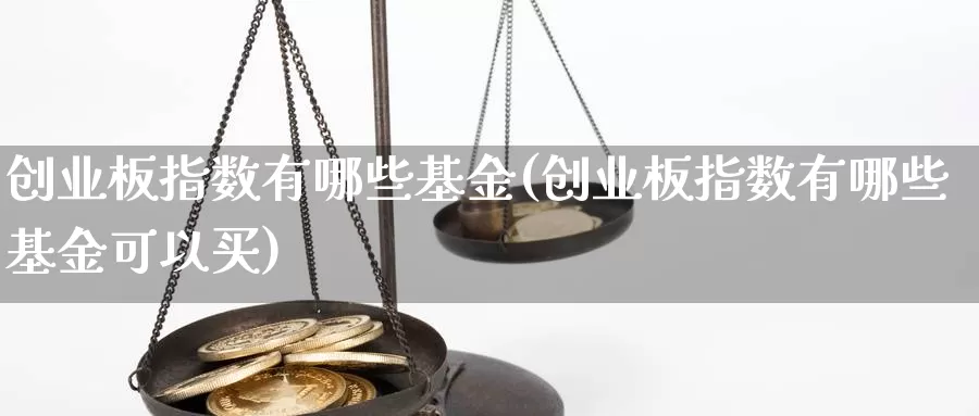 创业板指数有哪些基金(创业板指数有哪些基金可以买)_https://www.qddrjgnsk.com_基金市场_第1张