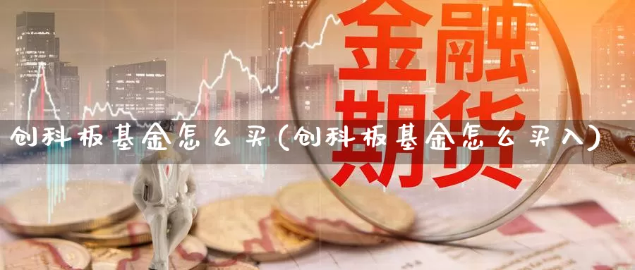 创科板基金怎么买(创科板基金怎么买入)_https://www.qddrjgnsk.com_股市频道_第1张