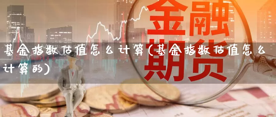 基金指数估值怎么计算(基金指数估值怎么计算的)_https://www.qddrjgnsk.com_外汇市场_第1张