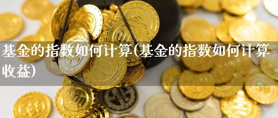 基金的指数如何计算(基金的指数如何计算收益)_https://www.qddrjgnsk.com_股市频道_第1张