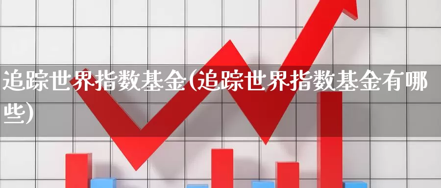 追踪世界指数基金(追踪世界指数基金有哪些)_https://www.qddrjgnsk.com_股市频道_第1张