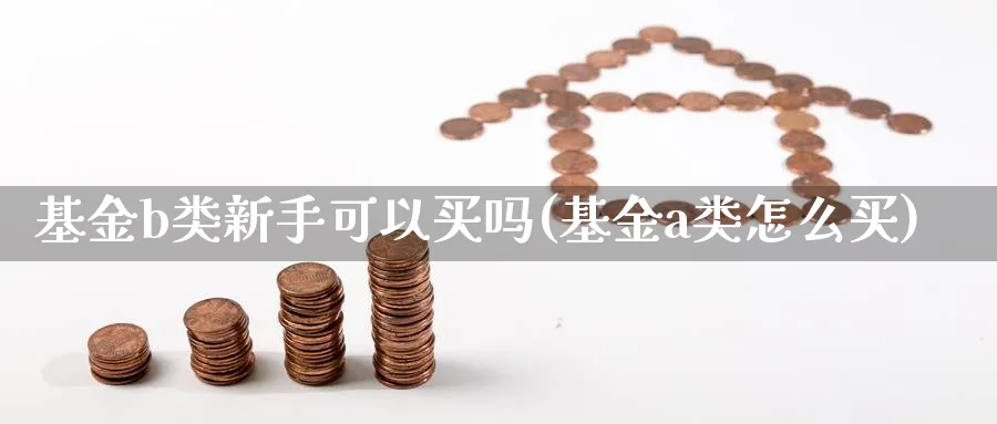 基金b类新手可以买吗(基金a类怎么买)_https://www.qddrjgnsk.com_基金市场_第1张