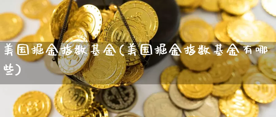 美国掘金指数基金(美国掘金指数基金有哪些)_https://www.qddrjgnsk.com_股市频道_第1张