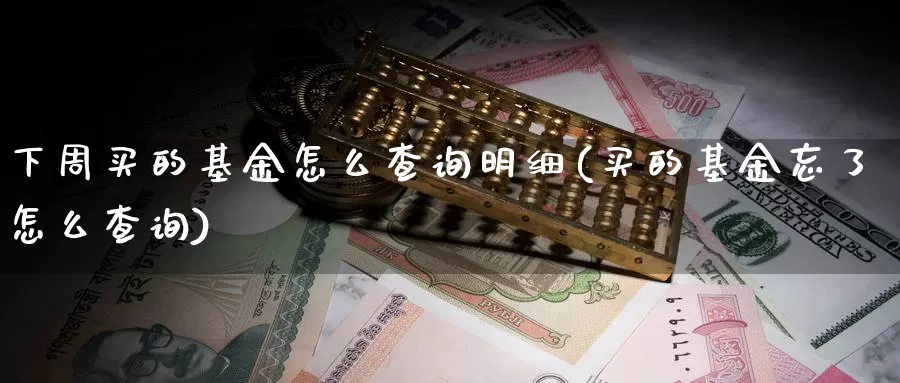 下周买的基金怎么查询明细(买的基金忘了怎么查询)_https://www.qddrjgnsk.com_期货市场_第1张