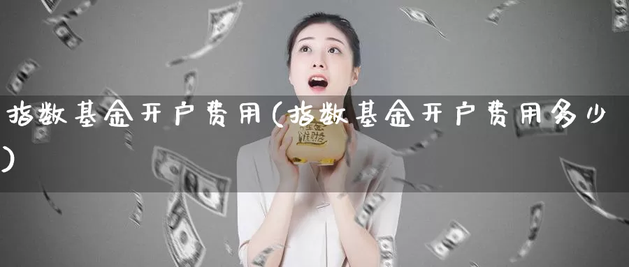 指数基金开户费用(指数基金开户费用多少)_https://www.qddrjgnsk.com_股市频道_第1张