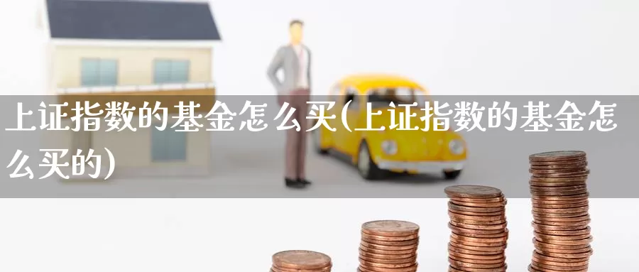 上证指数的基金怎么买(上证指数的基金怎么买的)_https://www.qddrjgnsk.com_股市频道_第1张