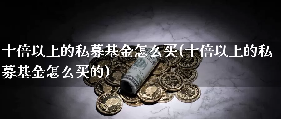 十倍以上的私募基金怎么买(十倍以上的私募基金怎么买的)_https://www.qddrjgnsk.com_基金市场_第1张