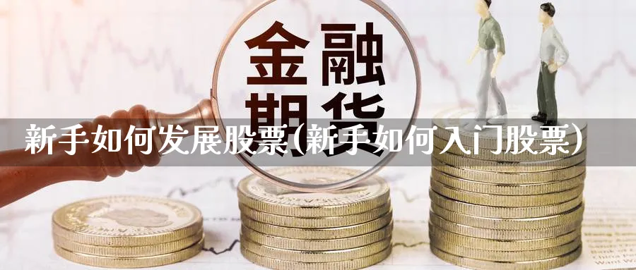 新手如何发展股票(新手如何入门股票)_https://www.qddrjgnsk.com_期货市场_第1张