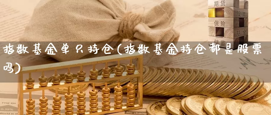 指数基金单只持仓(指数基金持仓都是股票吗)_https://www.qddrjgnsk.com_股市频道_第1张