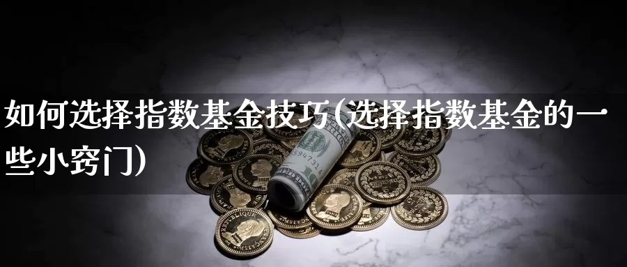 如何选择指数基金技巧(选择指数基金的一些小窍门)_https://www.qddrjgnsk.com_股市频道_第1张